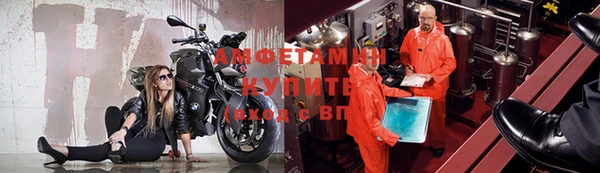 прущая мука Дмитриев