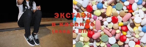 индика Дмитров