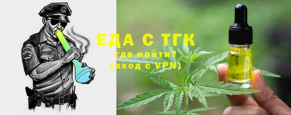 индика Дмитров