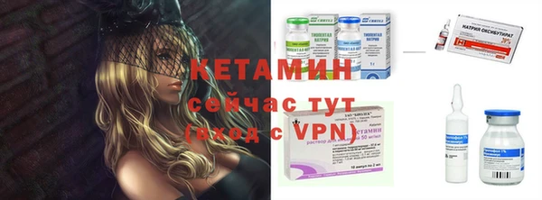 индика Дмитров