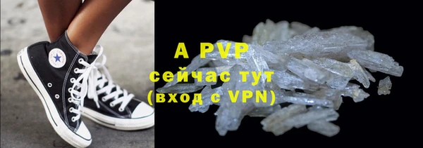 прущая мука Дмитриев