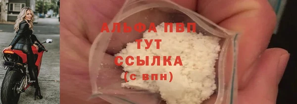 индика Дмитров