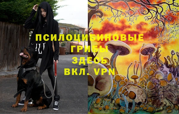 кокаин перу Дмитровск