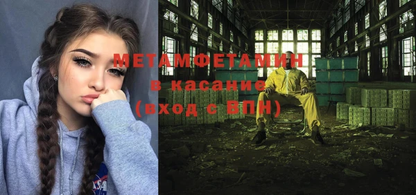 индика Дмитров