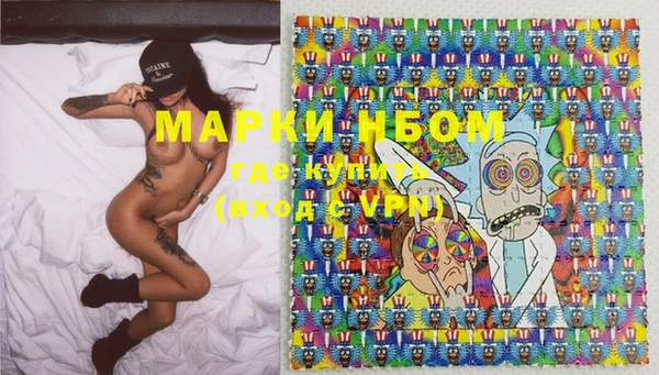 прущая мука Дмитриев