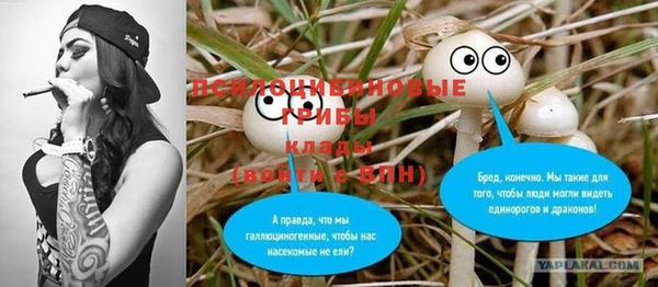 прущая мука Дмитриев
