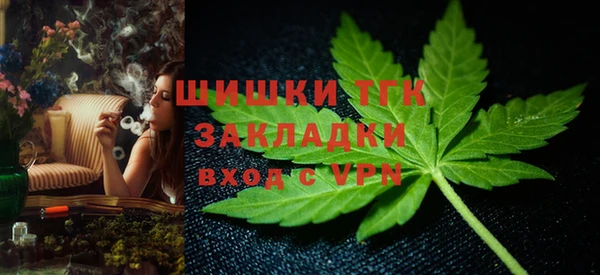 индика Дмитров