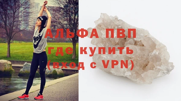 индика Дмитров