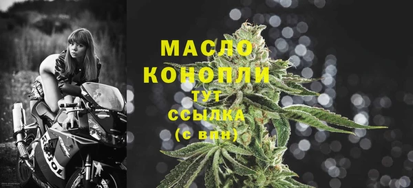 прущая мука Дмитриев