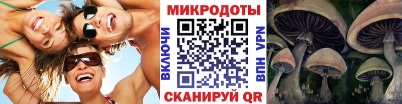Псилоцибиновые грибы Psilocybe  маркетплейс телеграм  Дыгулыбгей  купить  